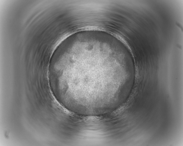 X0000102020847200808151314