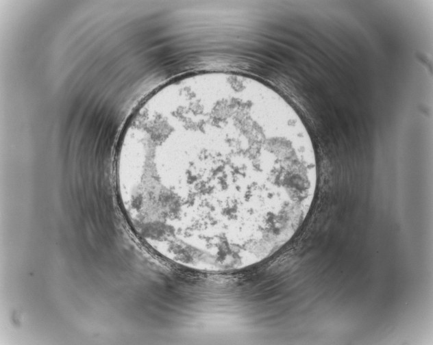 X0000102020848200808151314