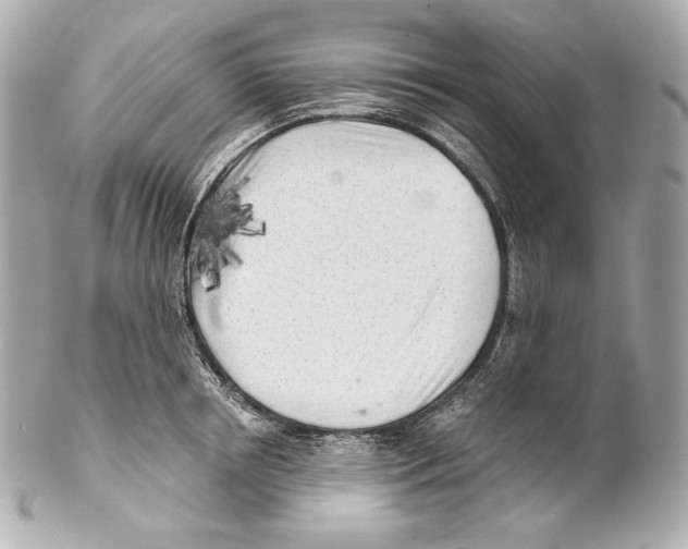 X0000102020850200808151314