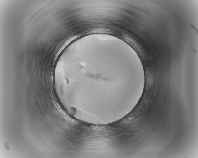 X0000102020852200808151314