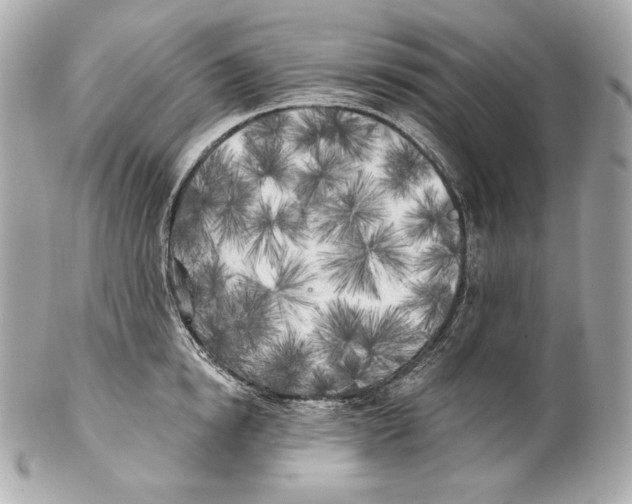 X0000102020854200808151314