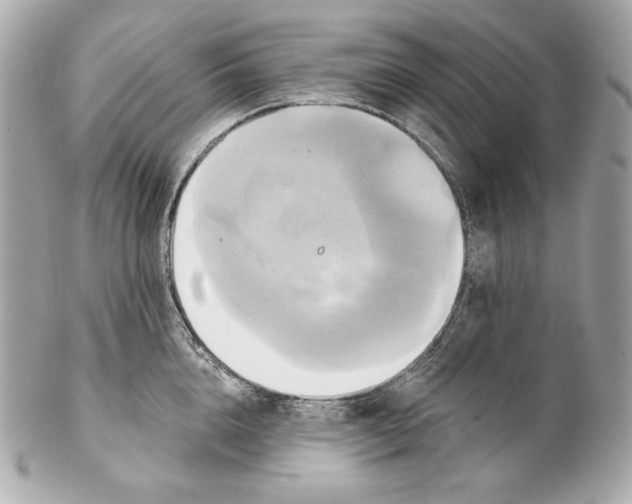 X0000102020856200808151314