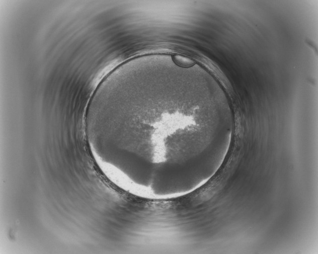 X0000102020858200808151314