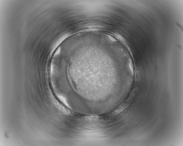 X0000102020859200808151314