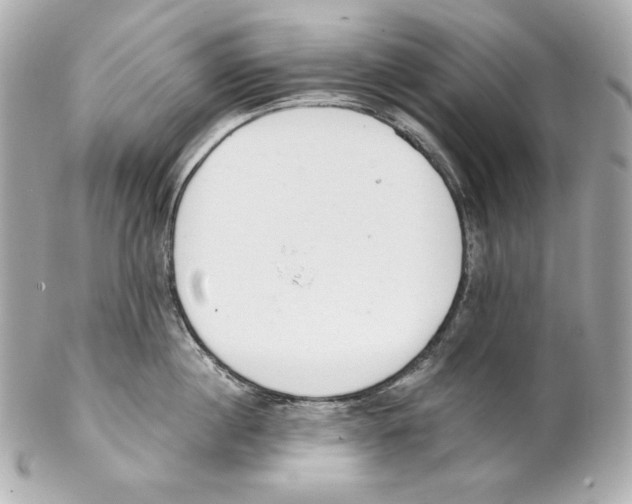X0000102020860200808151314