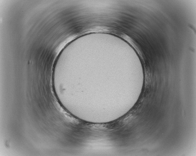 X0000102020861200808151314