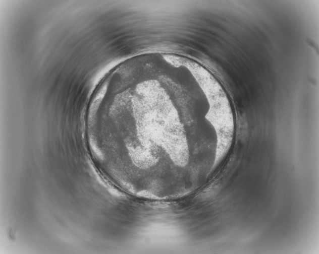 X0000102020862200808151314