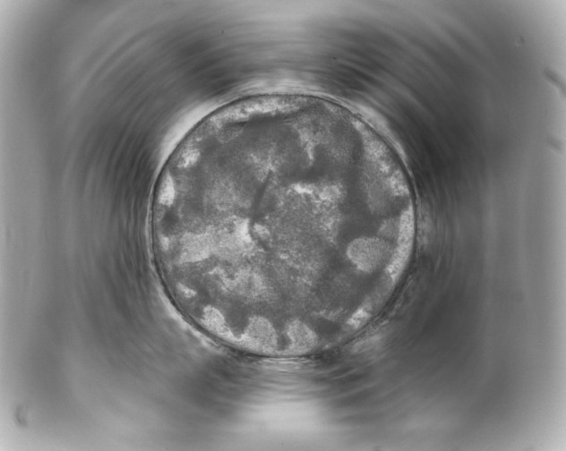 X0000102020863200808151314