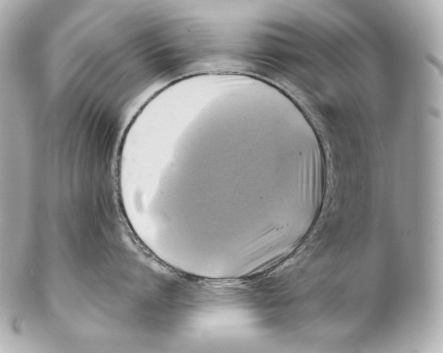 X0000102020864200808151314