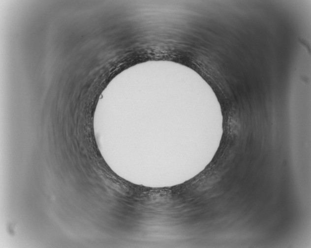 X0000102020865200808151313