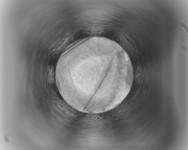 X0000102020866200808151313