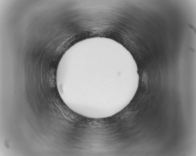 X0000102020868200808151313