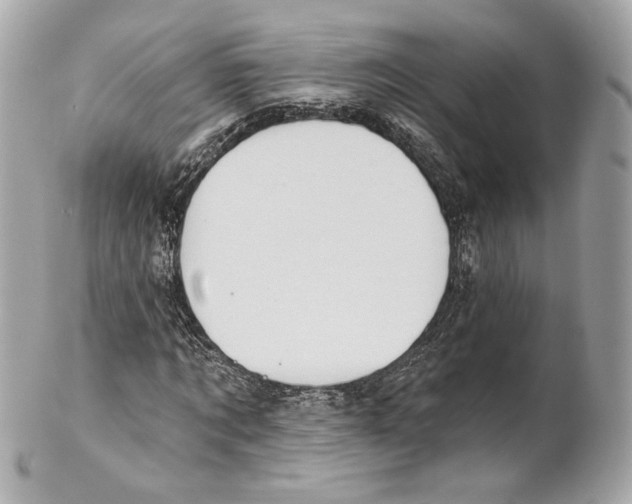 X0000102020869200808151313