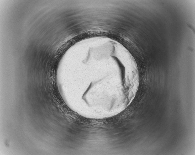 X0000102020870200808151313