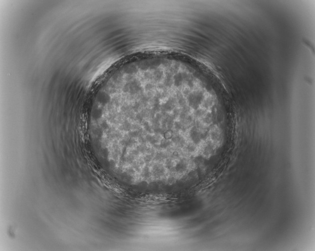 X0000102020871200808151313