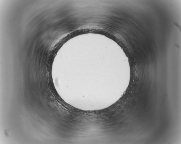 X0000102020872200808151313