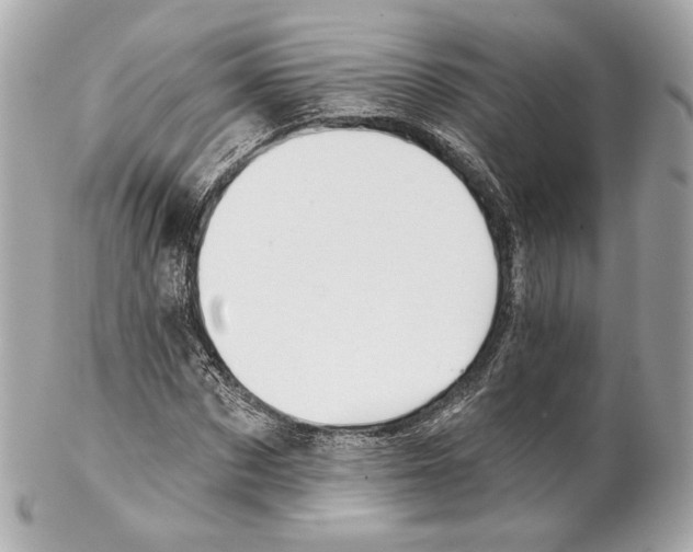 X0000102020873200808151313