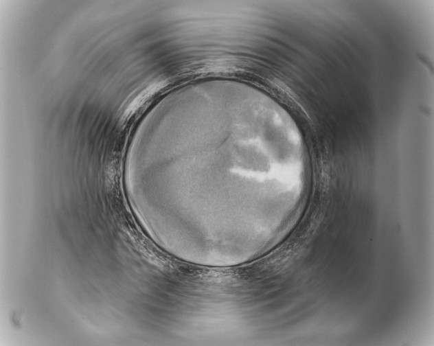 X0000102020874200808151313