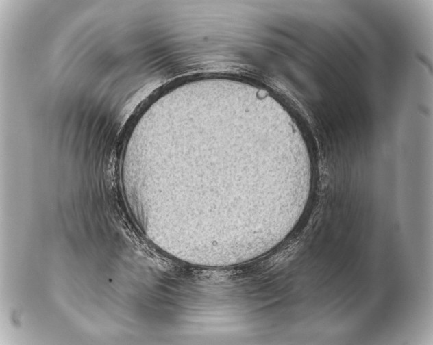 X0000102020875200808151313