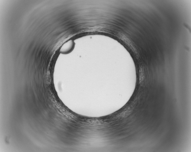 X0000102020876200808151313