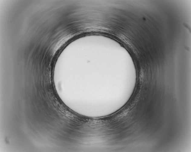 X0000102020877200808151313