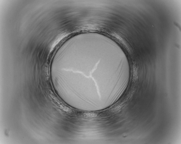 X0000102020878200808151313