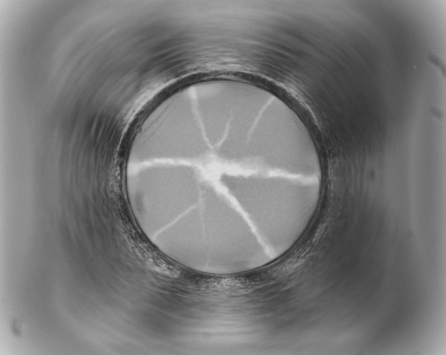 X0000102020879200808151313