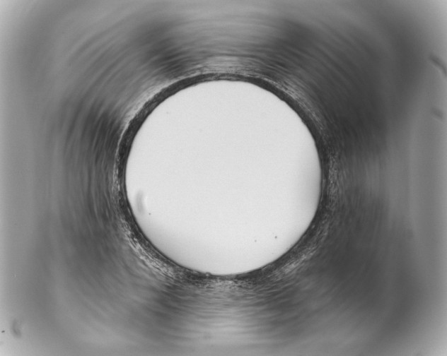 X0000102020880200808151313