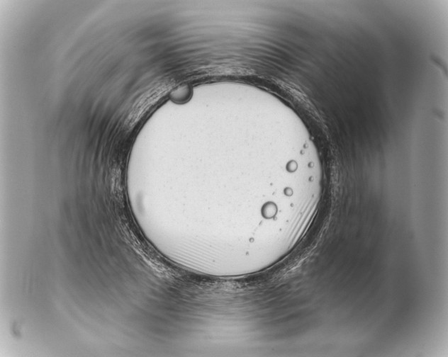 X0000102020881200808151313
