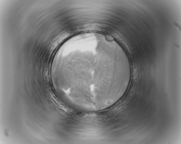 X0000102020882200808151313