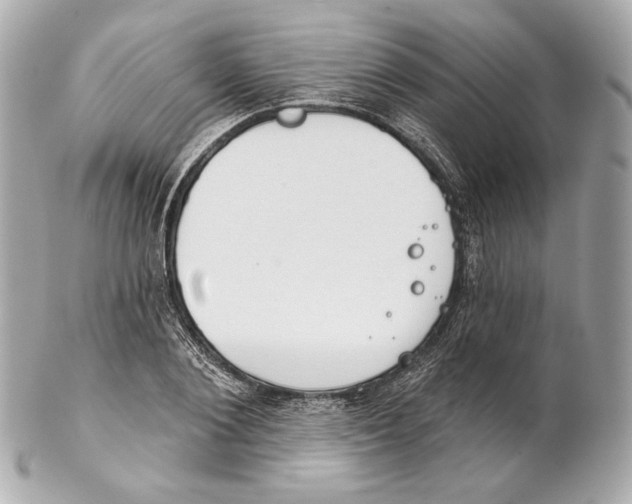 X0000102020884200808151313