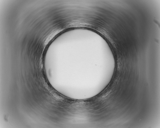 X0000102020885200808151313
