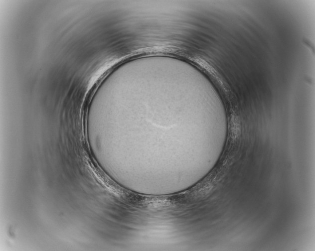 X0000102020886200808151313