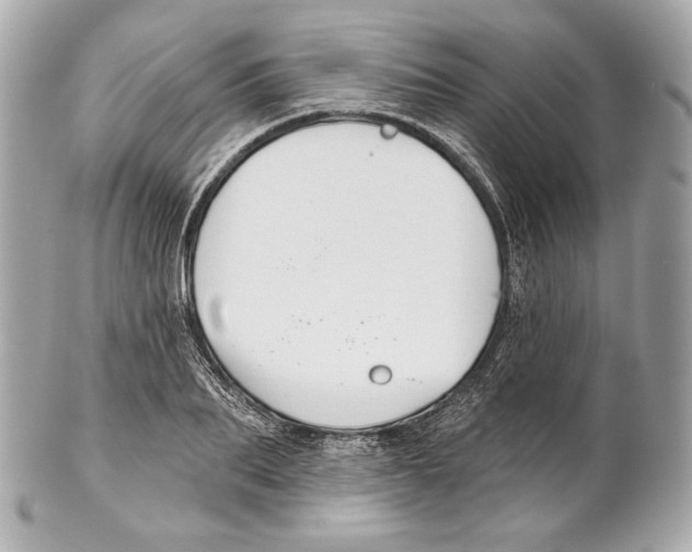 X0000102020887200808151313