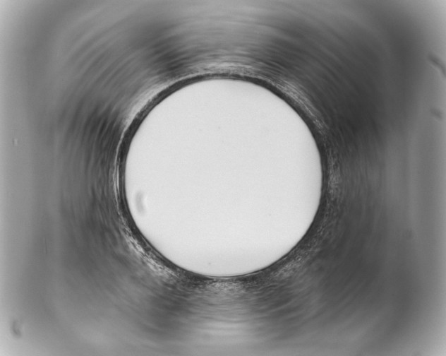 X0000102020888200808151313