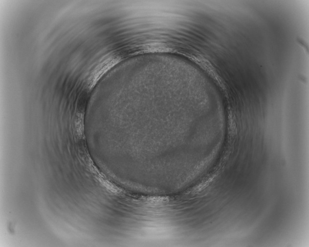 X0000102020889200808151313