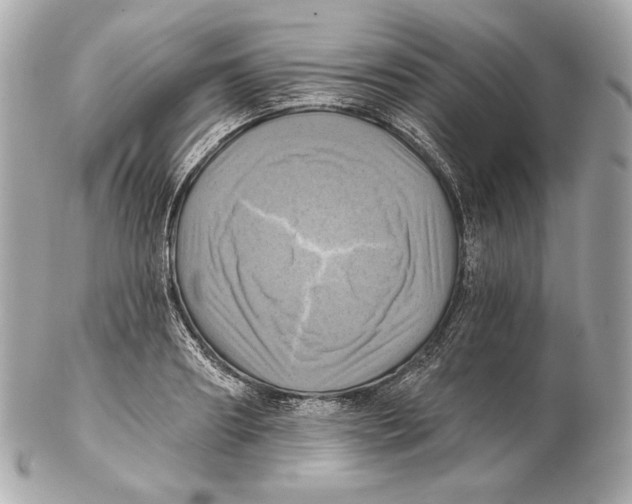 X0000102020890200808151313