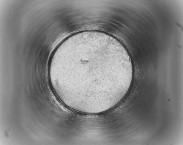 X0000102020894200808151313