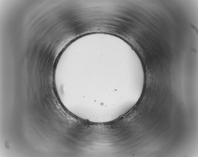 X0000102020896200808151313