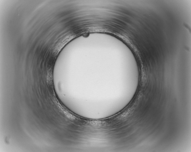 X0000102020897200808151313