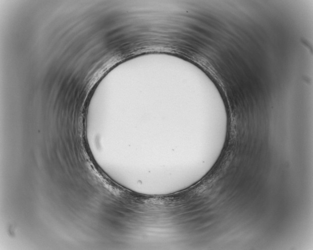 X0000102020898200808151313