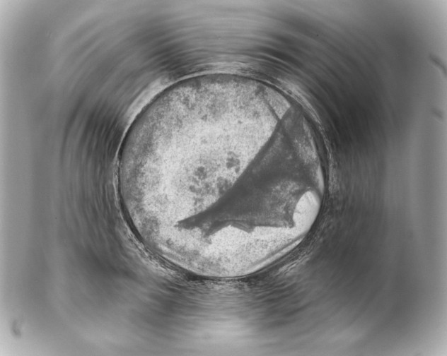 X0000102020899200808151313