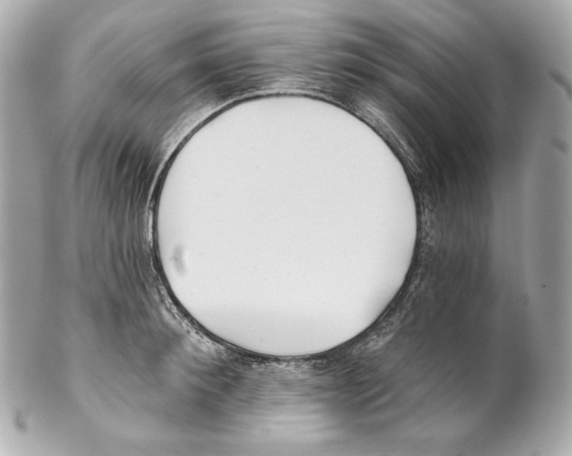 X0000102020900200808151313