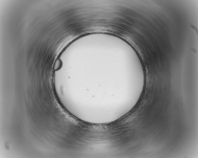 X0000102020901200808151312
