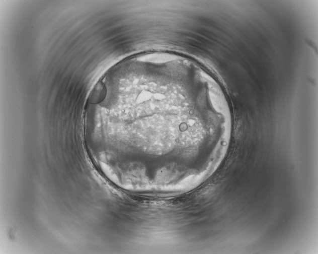 X0000102020903200808151312