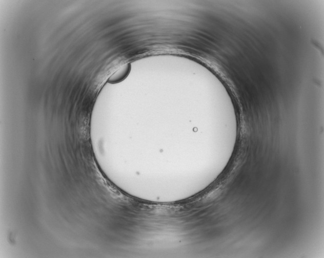 X0000102020905200808151312