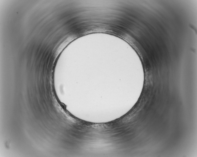 X0000102020906200808151312