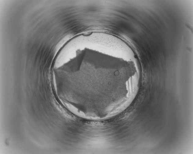 X0000102020907200808151312