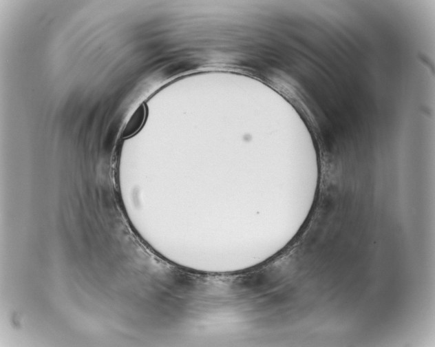 X0000102020908200808151312