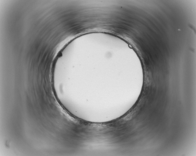 X0000102020910200808151312